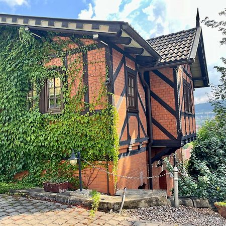Ferienhaus Villa Frosch Майнинген Экстерьер фото
